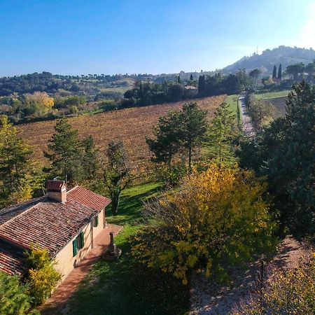 Il Vigneto Cottage Bertinoro Exteriör bild