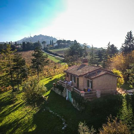 Il Vigneto Cottage Bertinoro Exteriör bild