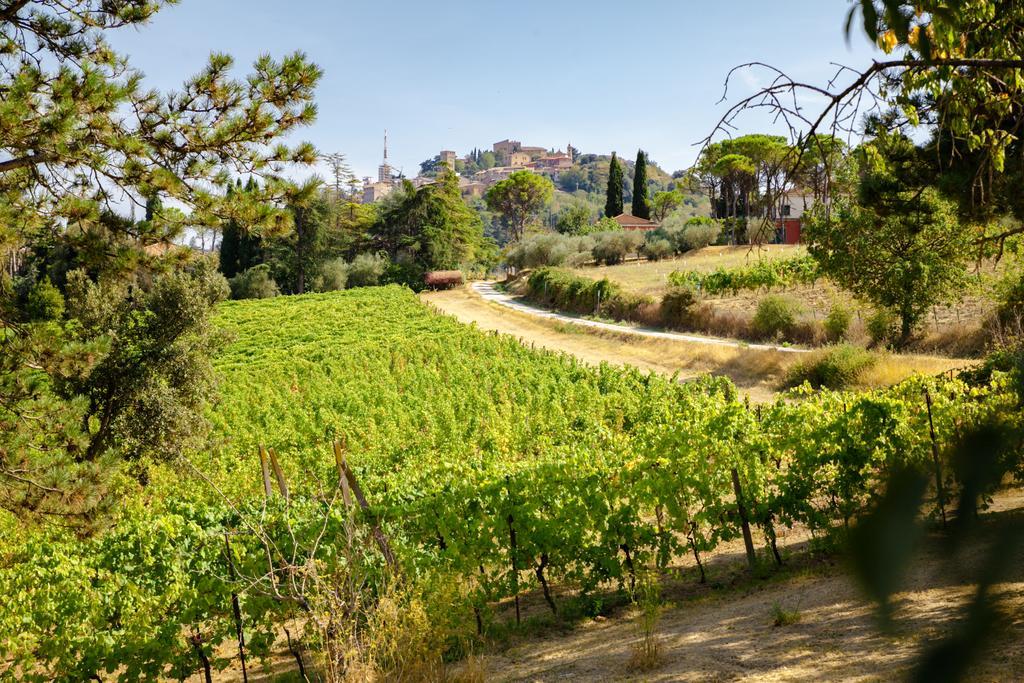 Il Vigneto Cottage Bertinoro Exteriör bild